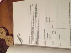 elektrostatische Lautsprecher  Bild 5