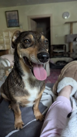 'Süßer Quincy wartet auf DIch!