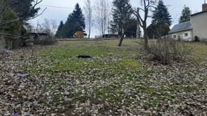 Freizeitgrundstück zu verkaufen Nähe Seifersdorf Sachsen Bild 3