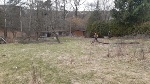 Freizeitgrundstück zu verkaufen Nähe Seifersdorf Sachsen Bild 4