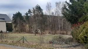 Freizeitgrundstück zu verkaufen Nähe Seifersdorf Sachsen Bild 6