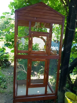 Vogelvoliere und zwei große Käfige