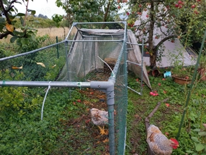 Neuwertiger Hühner Stall 