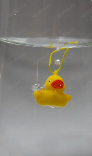 Bilder machen - Shooting 