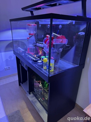 Meerwasseraquarium Red Sea MAX S 500 LED   Komplettset