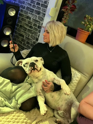 Dringen! ZEUS, schweren Herzens abzugeben  Bild 2