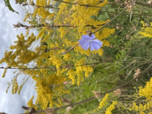 Ich suche dich, weiblich und empathisch .