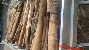 Brennholz Buche Bild 1