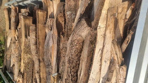 Brennholz Buche Bild 2