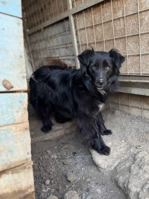 Tilla ca. 45 cm   mit warmen Augen