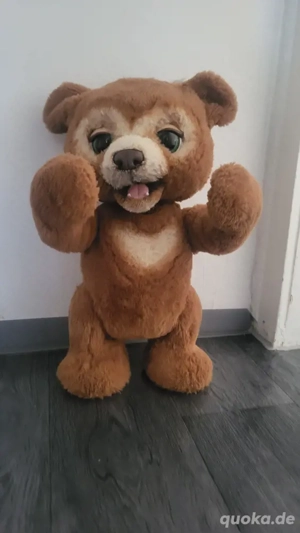FurReal Bär zu verkaufen 