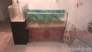 Terrarium und Schrank 