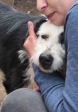 Einzigartige Ruby hat eine ganz sanfte Seele Bild 3