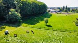 Betreutes wohnen für Ihr Pferd Bild 2
