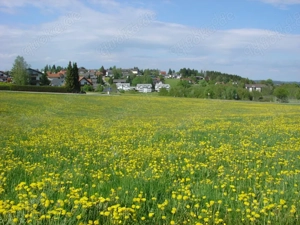 Helle 4-Zi.-ETW in unverbaubarer Südlage