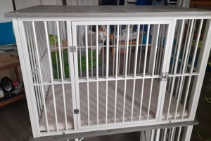 Hundebox für Wohnung, Büro