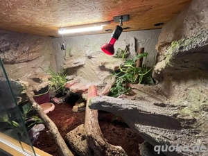 Terrarium mit Felswand und Blumentöpfen