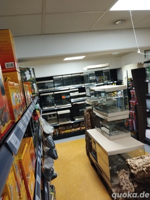    Vollglasterrarien mit Falltür   verschiedene Größen verfügbar!   