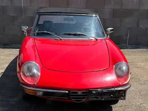 Alfa Romeo Spider H Kennzeichen HU neu