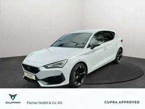 CUPRA Leon 1.5 eTSI DSG LED Navi SHZ Rear View ACC PDC DAB