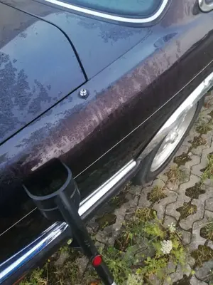 Jaguar XJ 300 3,2L Bild 5