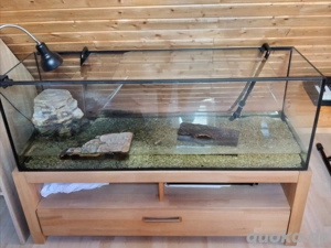 aquarium mit profi filter anlage 