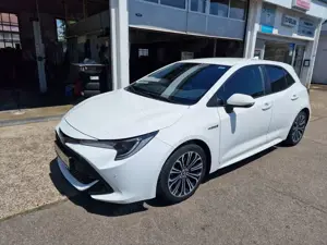 Toyota Corolla Hybrid Club, Technik P.,Allwetter