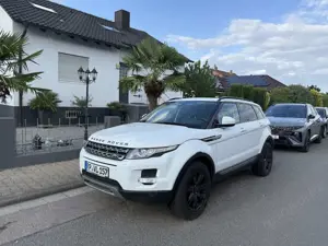 Land Rover Range Rover Evoque Range Rover Evoque SD4 | Navi | Xenon | Leder