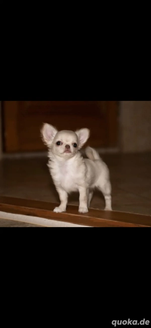 Sie sucht gute Familie 