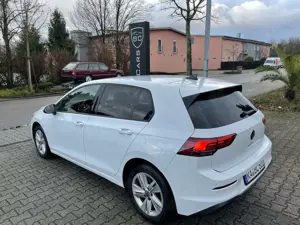 Volkswagen Golf VIII 2,0 TDi DSG Life LED Navi Bild 2
