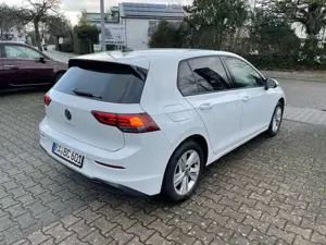 Volkswagen Golf VIII 2,0 TDi DSG Life LED Navi Bild 3