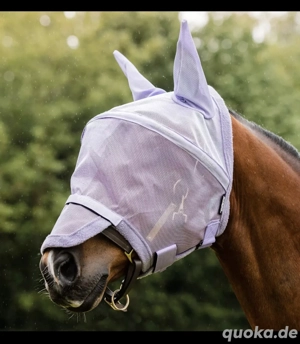 Reitsachen Pferde Sattel Zubehör 