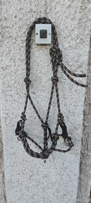 Reitsachen Pferde Sattel Zubehör 