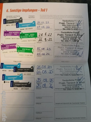 Bkh Deckkater Bild 6