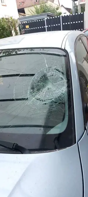 BMW 116 116i Aut. Edition Sport Bild 3