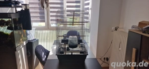 vogelkäfig  Bild 2