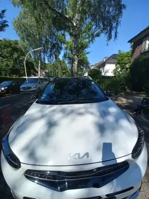 Kia Stonic Stonic 1.0 T-GDI 100 OPF DCT7 Vision Bild 5