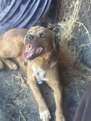 Traumtyp sucht liebevolle Familie