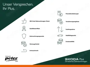 Skoda Enyaq ENYAQ COUPE RS **4X4*MATRIX*NAVI*PANORAMADACH** Bild 5