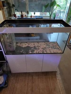 Meerwasser Aquarium 400 Liter mit Technikbecken, Verrohrung, Raumteiler