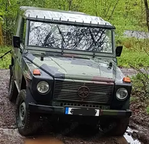 Mercedes-Benz Others WOLF 250 GD