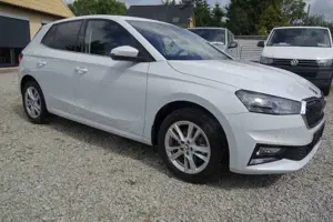 Skoda Fabia Selection beh.Lenkrad / Scheibe