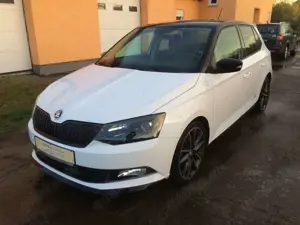 Skoda Fabia R5   1.Hand 1.4 TSI DSG  Navi Kamera SHZ M
