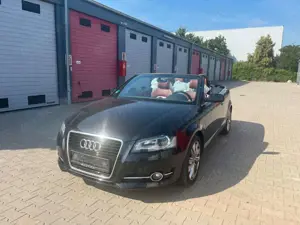 Audi A3 Cabriolet Ambition 1Hand Navi Leder