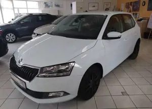 Skoda Fabia 1.0 TSI Cool Plus Sitzheizung DAB PDC