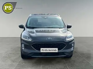 Ford Kuga 1.5 Ecoboost Cool Connect Navi Apple Klima CarPla Bild 5