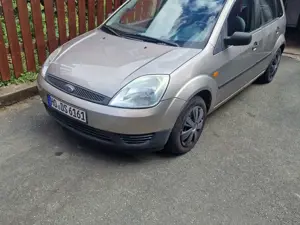 Ford Fiesta winterauto