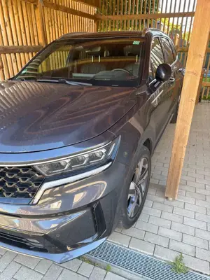 Kia Sorento Sorento 1.6 T-GDI PHEV AWD Aut. Platinum