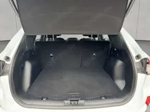 Ford Kuga 2.5 Duratec PHEV TITANIUM Bild 5