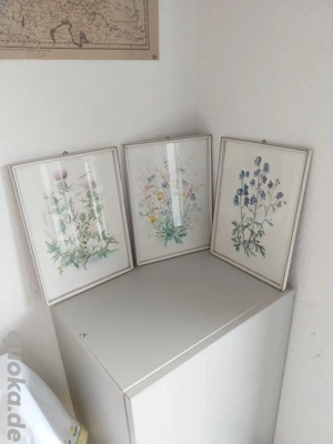 Aquarell Bilder Wiesen Blumen 